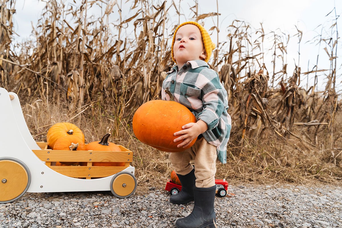 Toddler in beanie holding a pumpkin outdoors