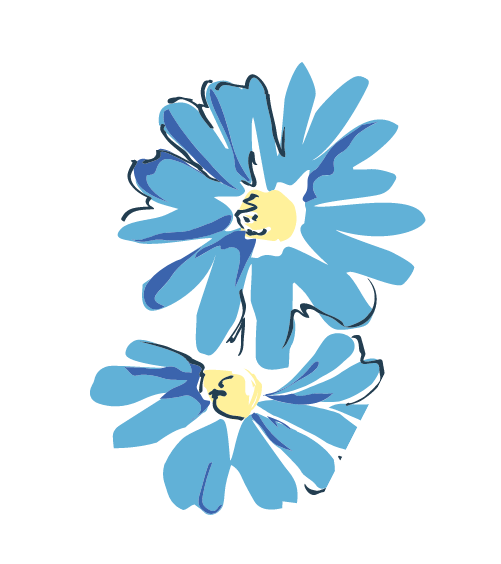 Blue daisy flowers with yellow centers