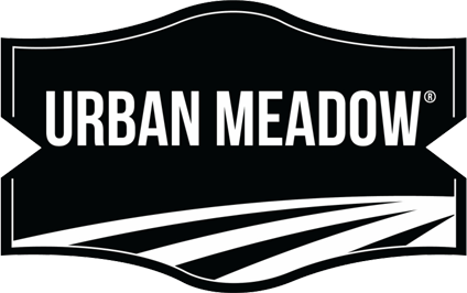 Urban Meadow