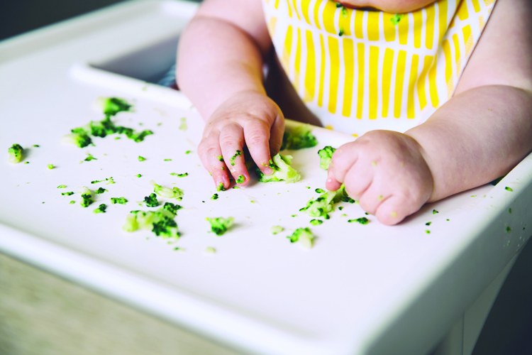 Baby Eating