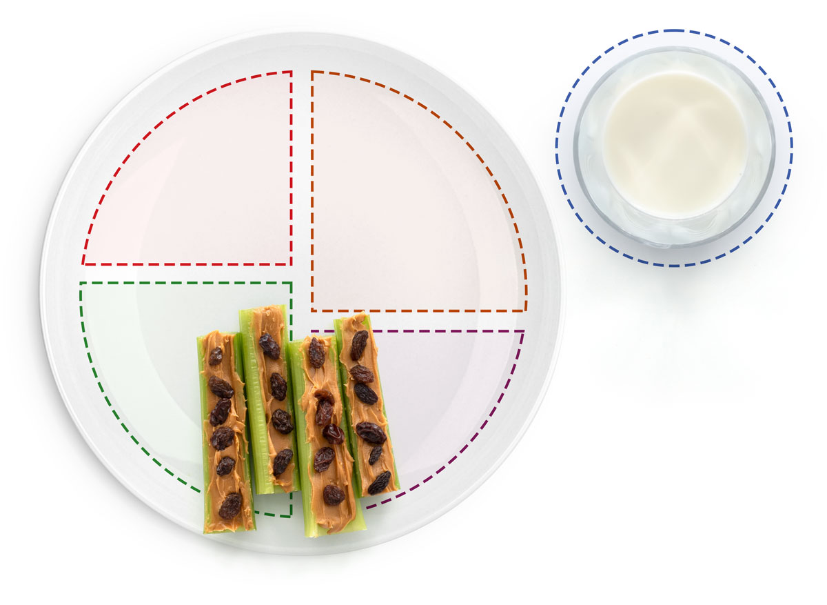 Hormigas en un tronco